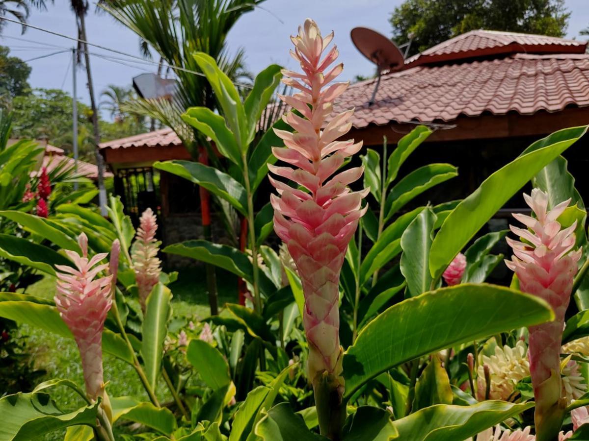Bungalows Malu Cahuita Exterior foto